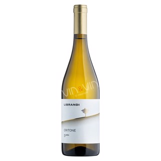 2024 Critone Bianco 