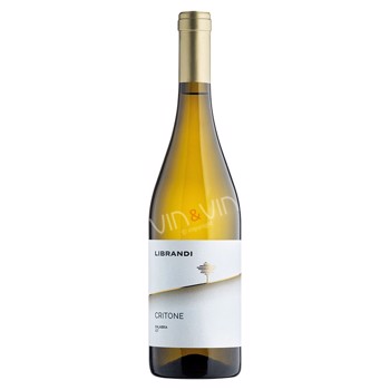 2024 Critone Bianco 