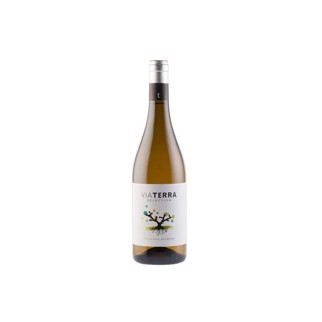 2023 Via Terra Selection Blanc - Edetària