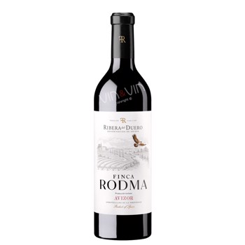 2020 Finca Rodma Avizor