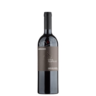 2020 Duca Sanfelice Riserva Rosso