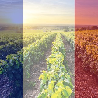 Fransk vinmesse afholdes i butikken