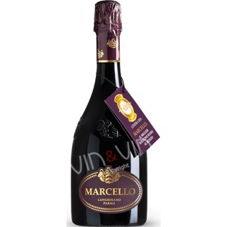 Ariola Vigne e Vini - Marcello Lambrusco