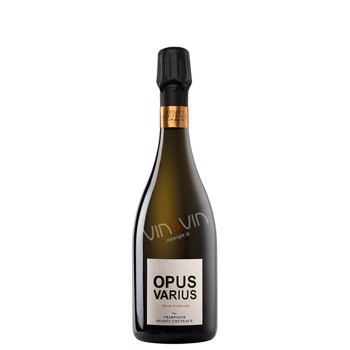  OPUS VARIUS - "Terre Profonde" 