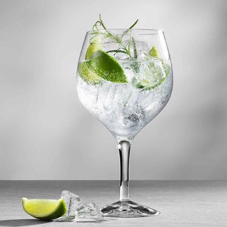 Gin & tonic smagning