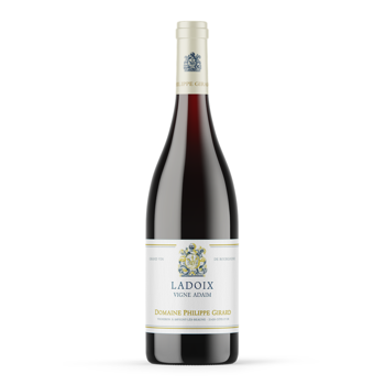 2022 Ladoix - "Vignes Adaim"