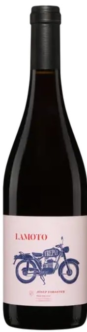 2025 Lamoto - Josep Foraster