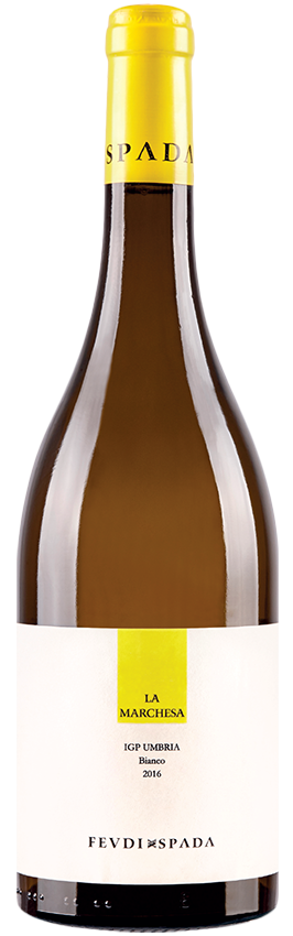 2024 La Marchesa Bianco - Feudi Spada - Umbrien