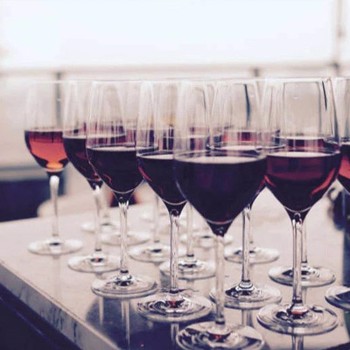 Pinot Noir Vinsmagning