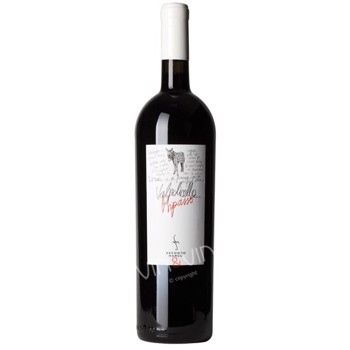 2011 Valpolicella Ripasso - 3 ltr.