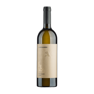 2022 Efeso Bianco