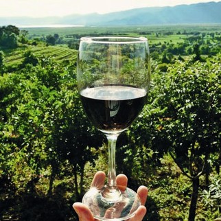 LUKSUS VINSMAGNING