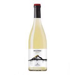 2023 Scalunera Bianco Etna DOC - Organic - Torre Mora