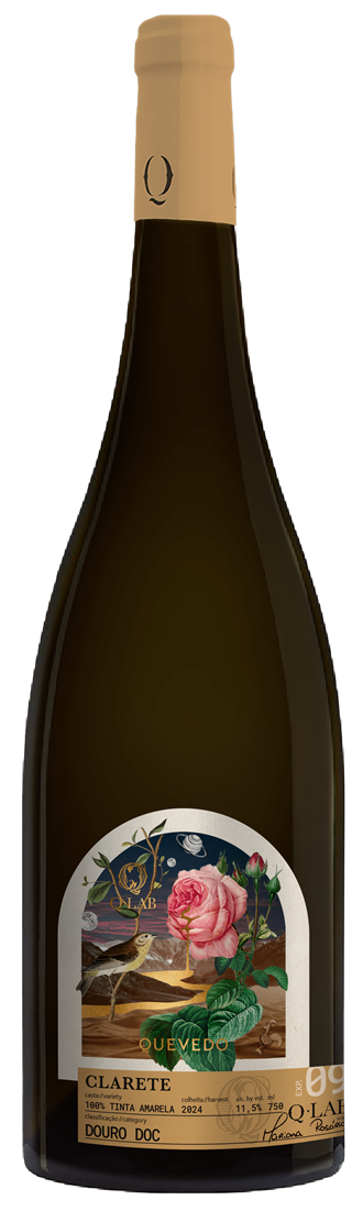 2024 Clarette - Porto Quevedo